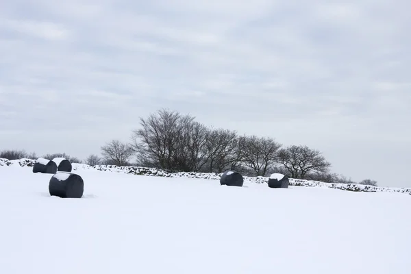 风景秀丽的雪 — 图库照片