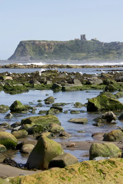 Castillo de Scarborough — Foto de Stock