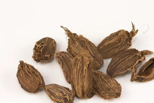 Cardamomo negro — Fotografia de Stock