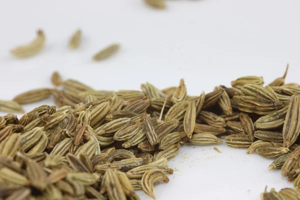 Fennel Seeds — Stock Photo, Image