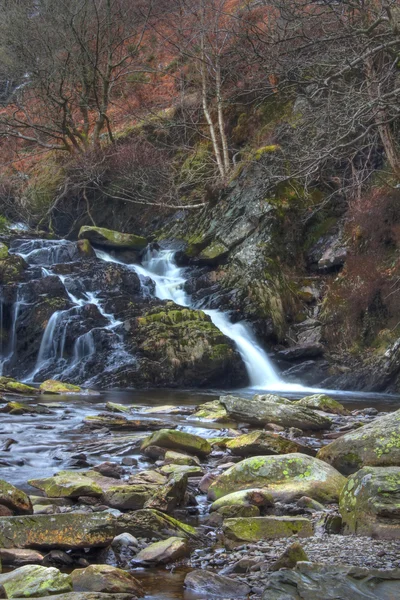 Cascata nella foresta autunnale — Foto Stock