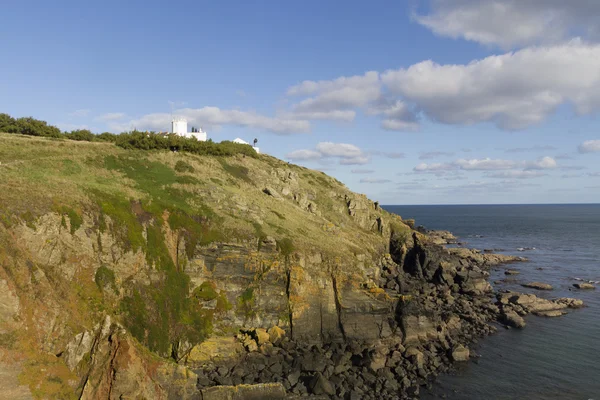 Lizard point — Stock Photo, Image