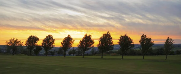 Fila de árvore pôr do sol dourado — Fotografia de Stock