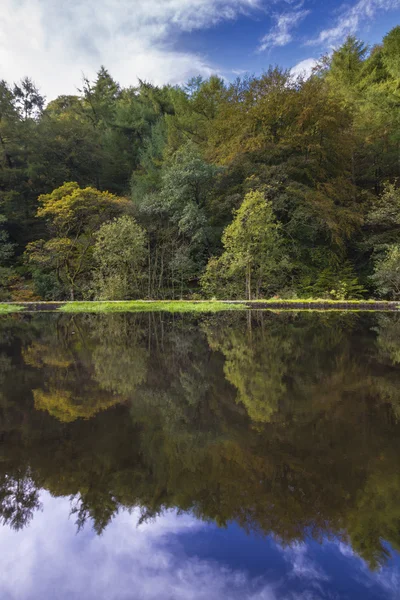 Podzimní reflexe — Stock fotografie