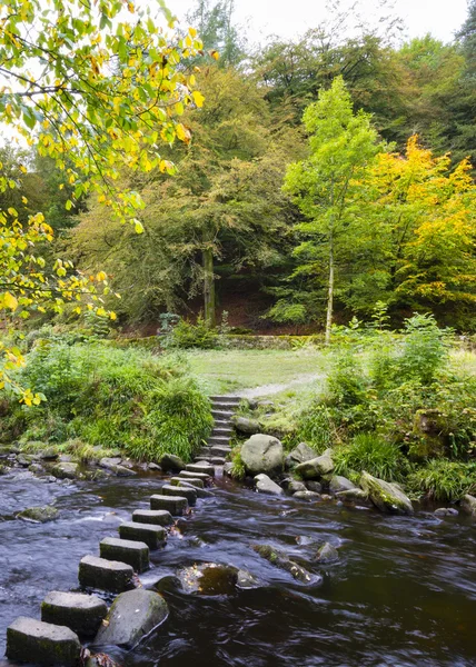 Herbst am Fluss — Stockfoto