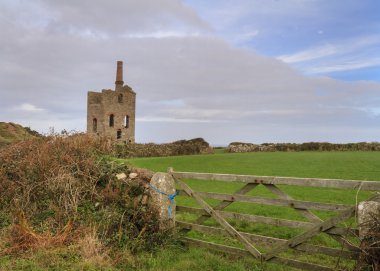 Akdeniz mayın Cornwall'da kalay