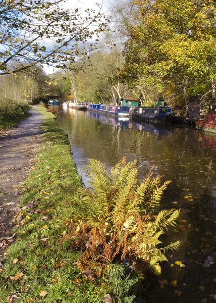 Herbst auf dem Kanal — Stockfoto