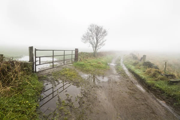 Tjock dimma på en land körfält — Stockfoto