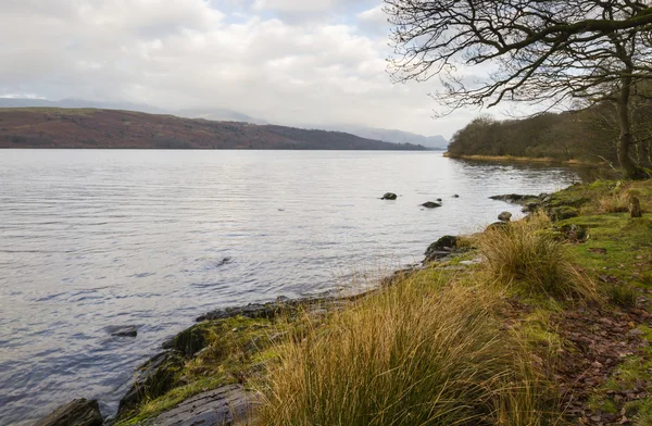 Lake under cloudy sky — Stock Photo, Image