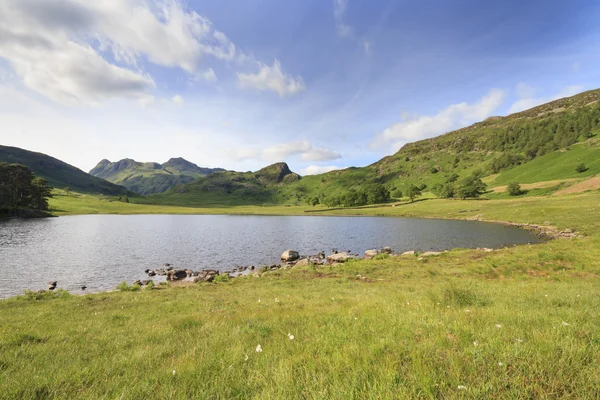 Blea tarn в районе озера — стоковое фото