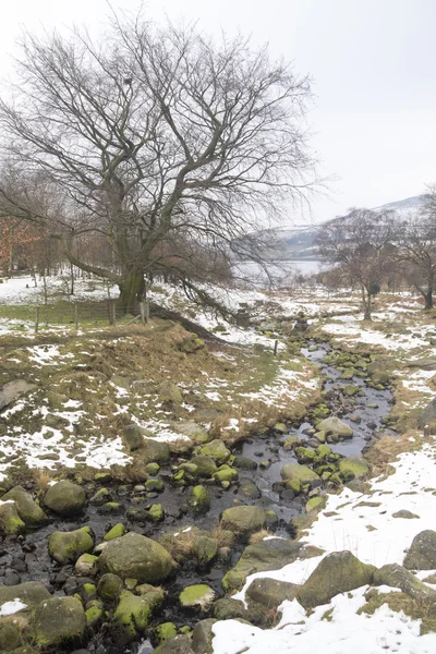 Dove kámen v Peak District — Stock fotografie