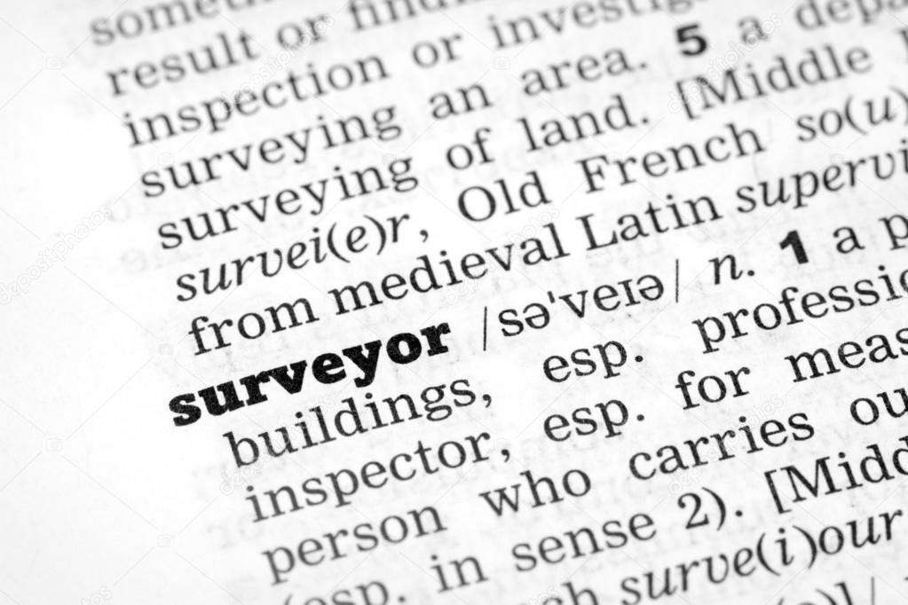 Dictionary definition surveyor