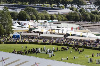 Büyük Yorkshire gösteri
