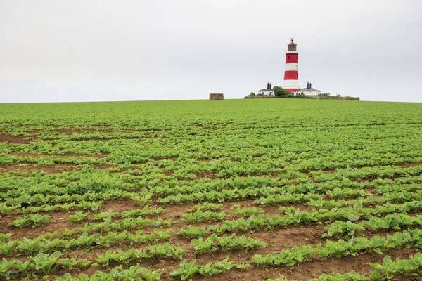 Latarnia happisburgh — Zdjęcie stockowe