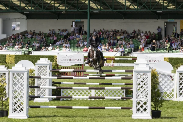 Salto de show — Fotografia de Stock