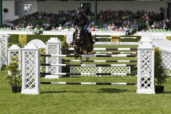 Show Jumping — Stock Photo, Image