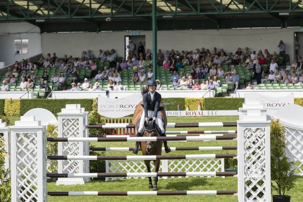 Salto de show — Fotografia de Stock