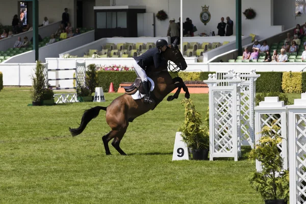 Salto de show — Fotografia de Stock