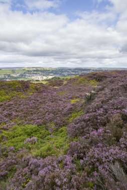 Norland, Halifax, West Yorkshire, İngiltere'de 5 Eylül, 2015. 