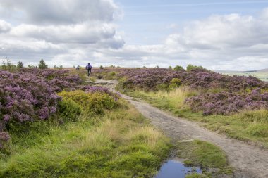Norland, Halifax, West Yorkshire, İngiltere'de 5 Eylül, 2015.