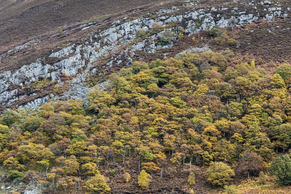 Podzimní horské Wales — Stock fotografie