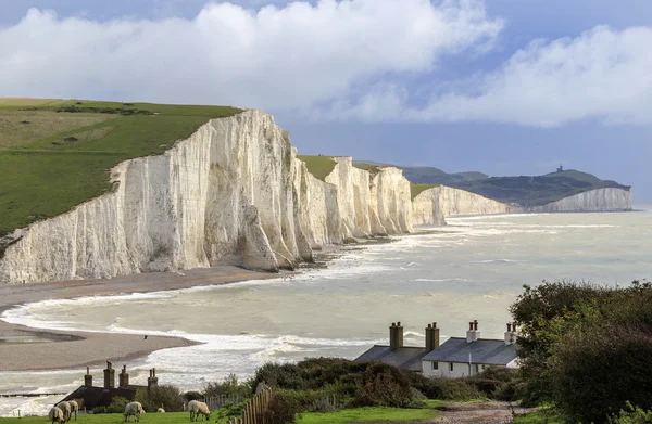 Seven Sisters cliffs — Stock Photo, Image