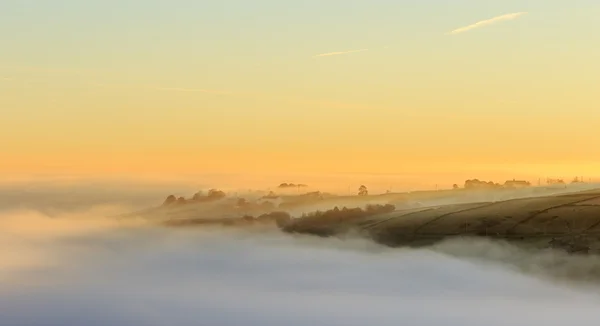 Foggy morning in yorkshire at sunrise — Stock Photo, Image