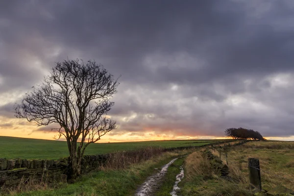 Feldweg in yorkshire — Stockfoto