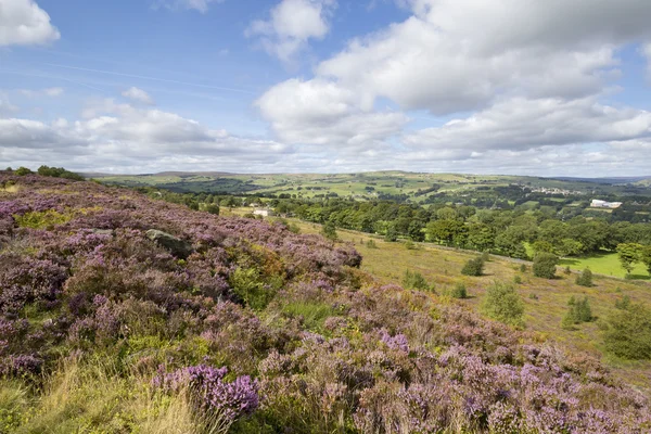 Norland, halifax, west yorkshire, uk 5. september 2015. — Stockfoto