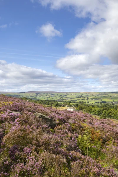 Norland, Halifax, West Yorkshire, Regno Unito 5 settembre, 2015 . — Foto Stock