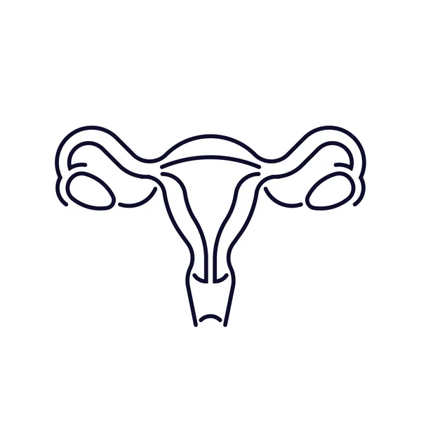 Icono del sistema reproductivo femenino — Vector de stock