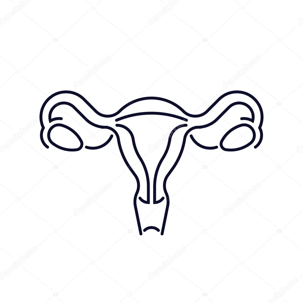 Female Reproductive System icon