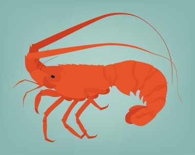 Spiny lobster clipart
