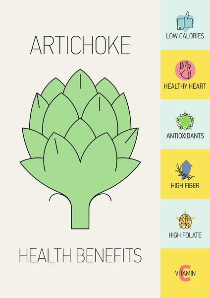 Beneficios para la salud de la alcachofa — Vector de stock