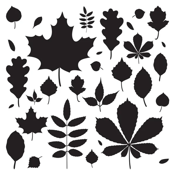 Hojas de otoño siluetas — Vector de stock