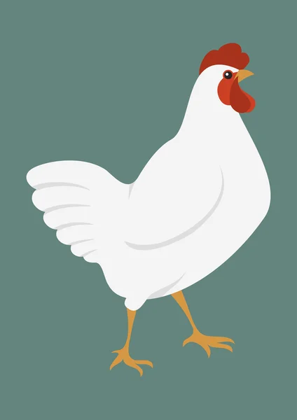 Pollo común — Vector de stock