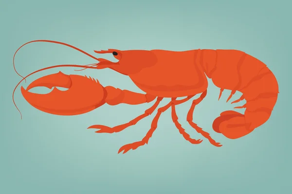 Homard rouge — Image vectorielle