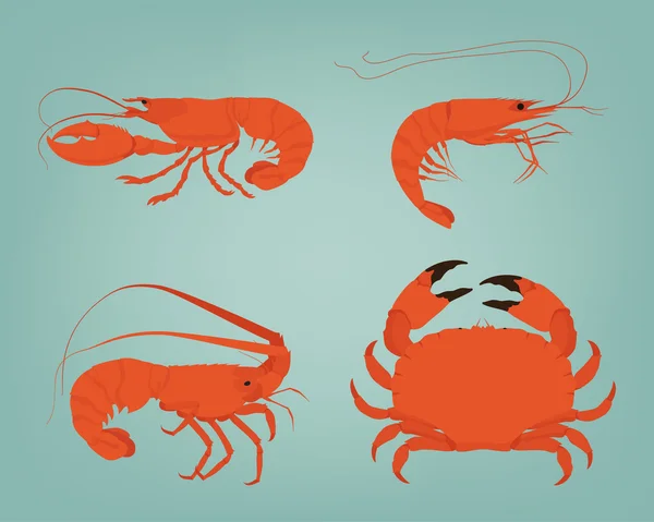 Udang, lobster, kepiting dan lobster berduri - Stok Vektor