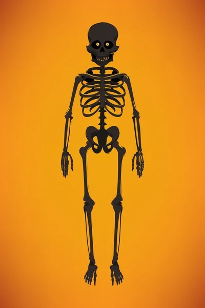 Élément de conception squelette — Image vectorielle
