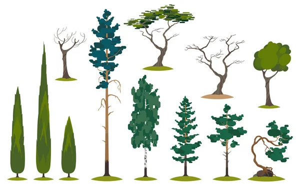 Evergreens y árboles — Vector de stock