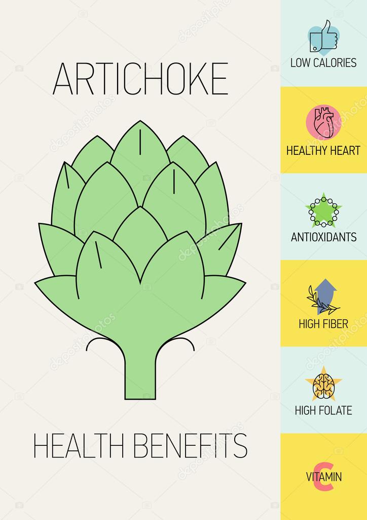 Artichoke health benefits