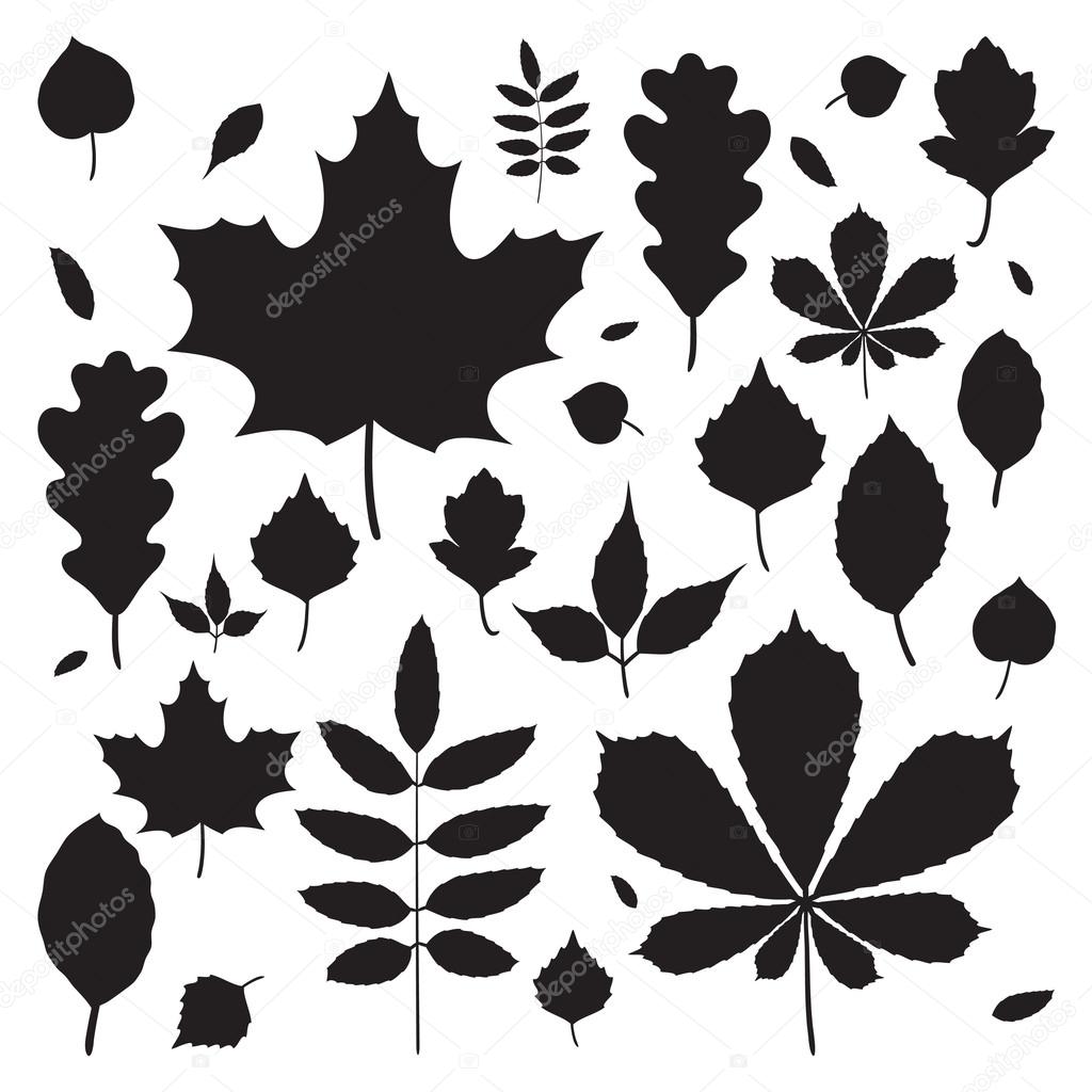 Fall leaves silhouettes