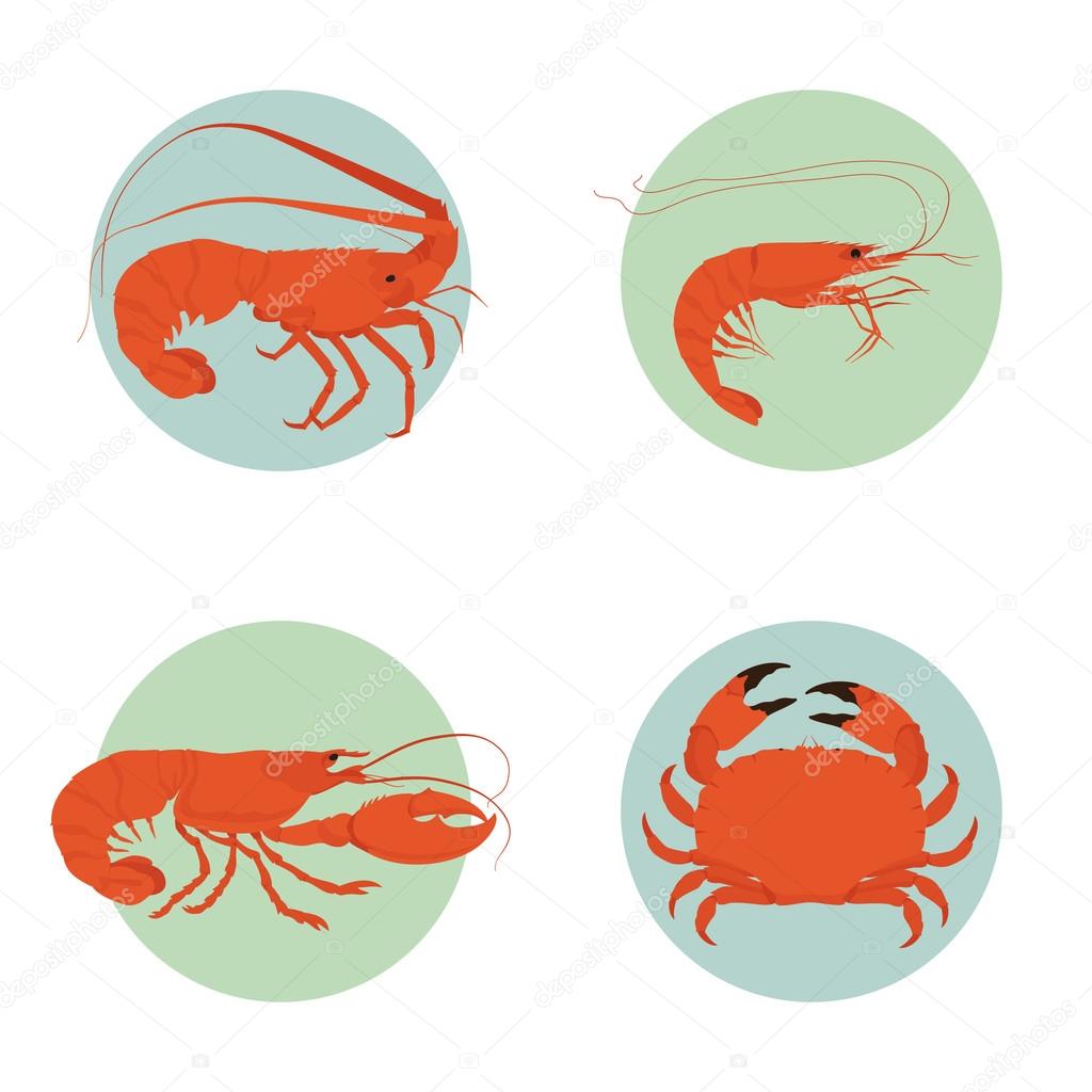 Shrimp, lobster, crab icons