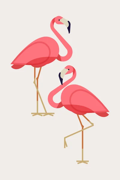 Cool Lovely flamingos — Stok Vektör