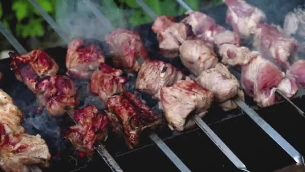 Shashlik se prepara en la parrilla, la carne se quema en llamas. — Vídeos de Stock