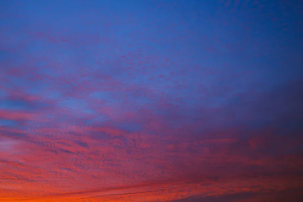 Blauer Himmel Und Rote Wolken Hintergrund Grafische Ressourcen — Stockfoto