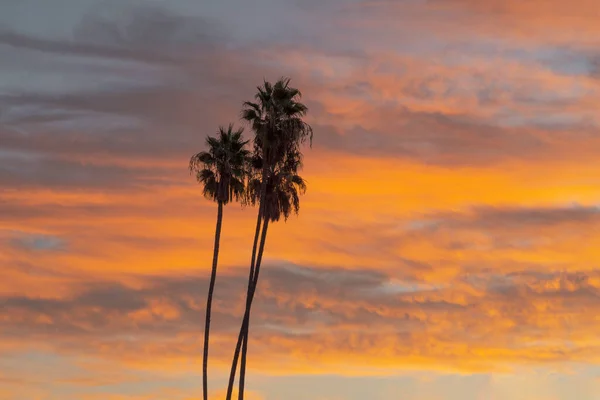 Palmy Sylwetka Przeciwko Ładnym Kalifornijskim Wschodzie Słońca Niebo Kolorowymi Chmurami — Zdjęcie stockowe