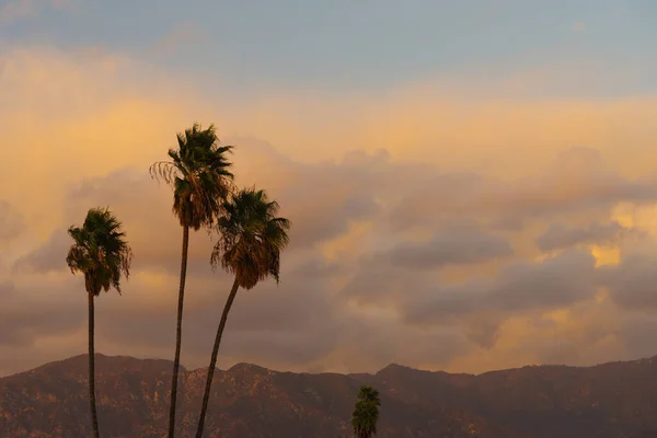 Palmeras Contra Paisaje Nublado Atardecer Sobre Las Montañas San Gabriel — Foto de Stock