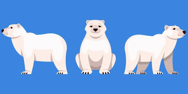 Kutup ayısı farklı açılarda.. — Stok Vektör