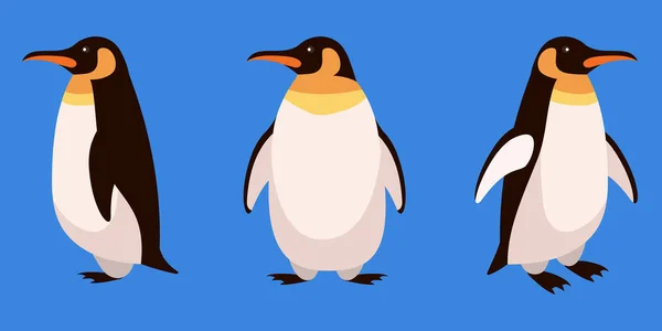 Pinguin Verschiedenen Winkeln Arktisches Tier Cartoon Stil — Stockvektor